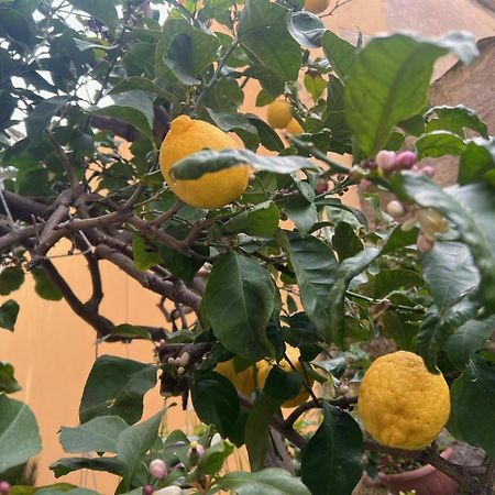 Appartamento Vicino Al Mare Moneglia Luaran gambar