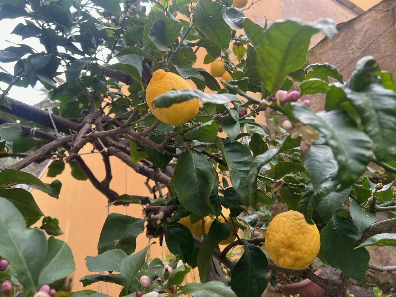 Appartamento Vicino Al Mare Moneglia Luaran gambar